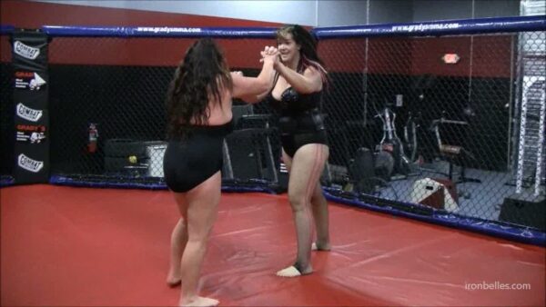 IB - Brutal CatFight Cage Fight