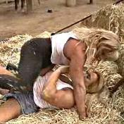 KC - Roll in the Hay