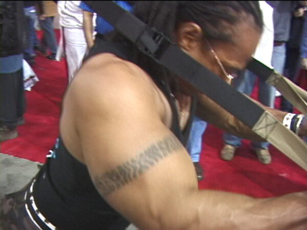 Flexible Prods Vids - Rene Toney's Exhibition - Image 2