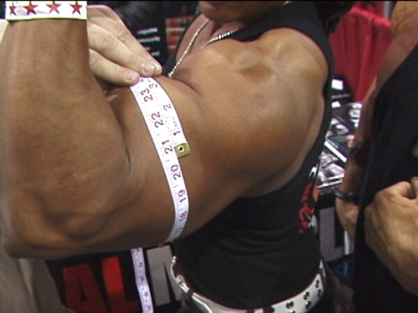 Flexible Prods Vids - Rene Toney's Exhibition - Image 5