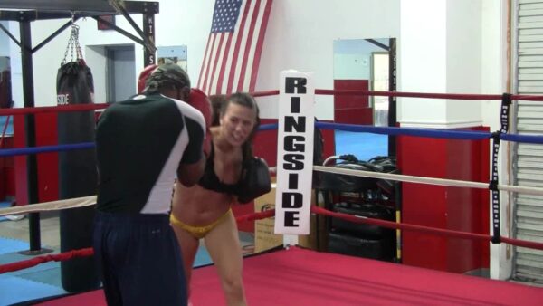 IB - Hot Hot Hollie Boxing - Image 2