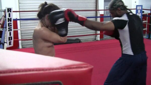 IB - Hot Hot Hollie Boxing - Image 4